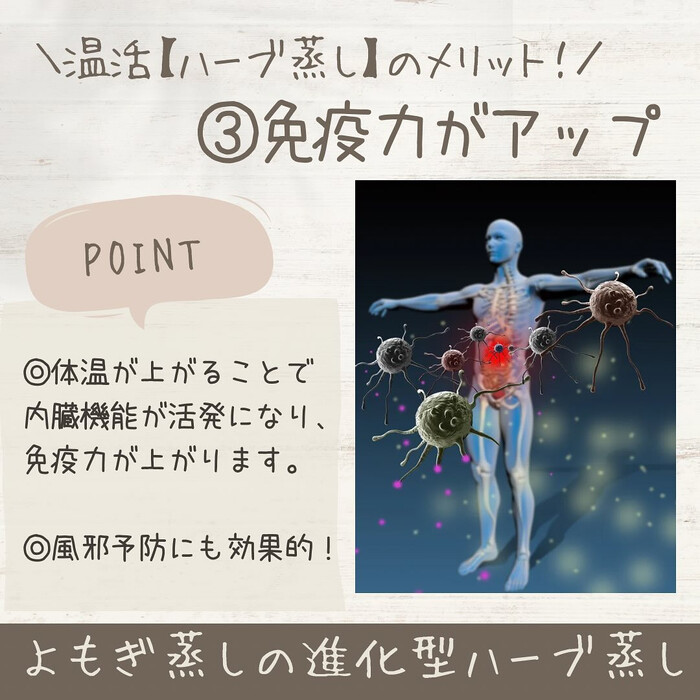 画像1065