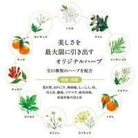 画像1094