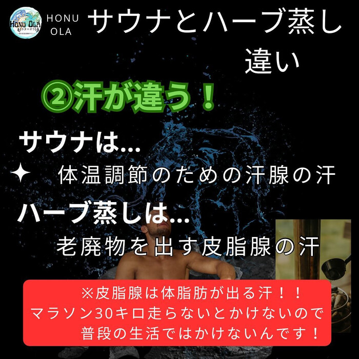 画像1248