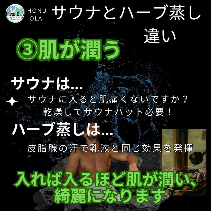画像1254