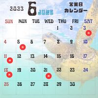 画像306