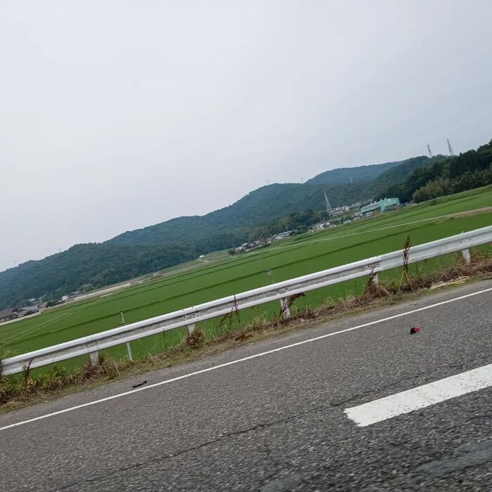 画像330
