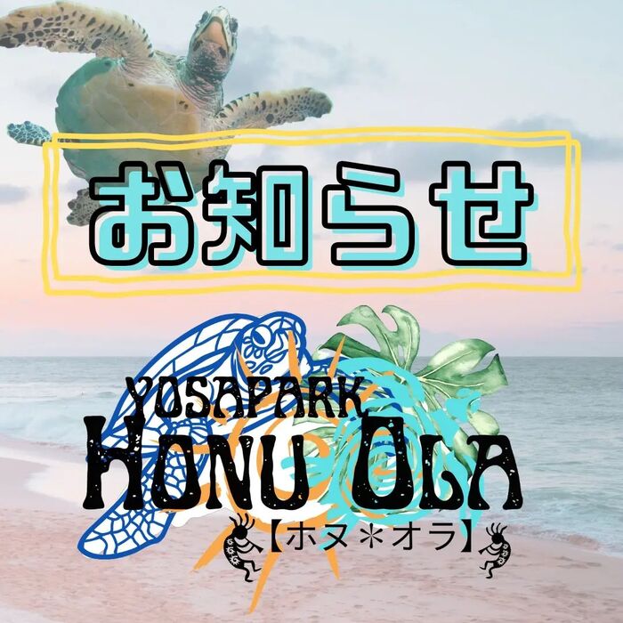 画像335