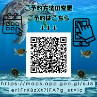 画像336