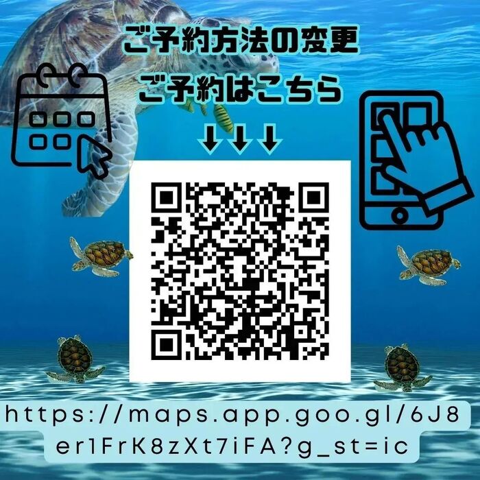 画像536