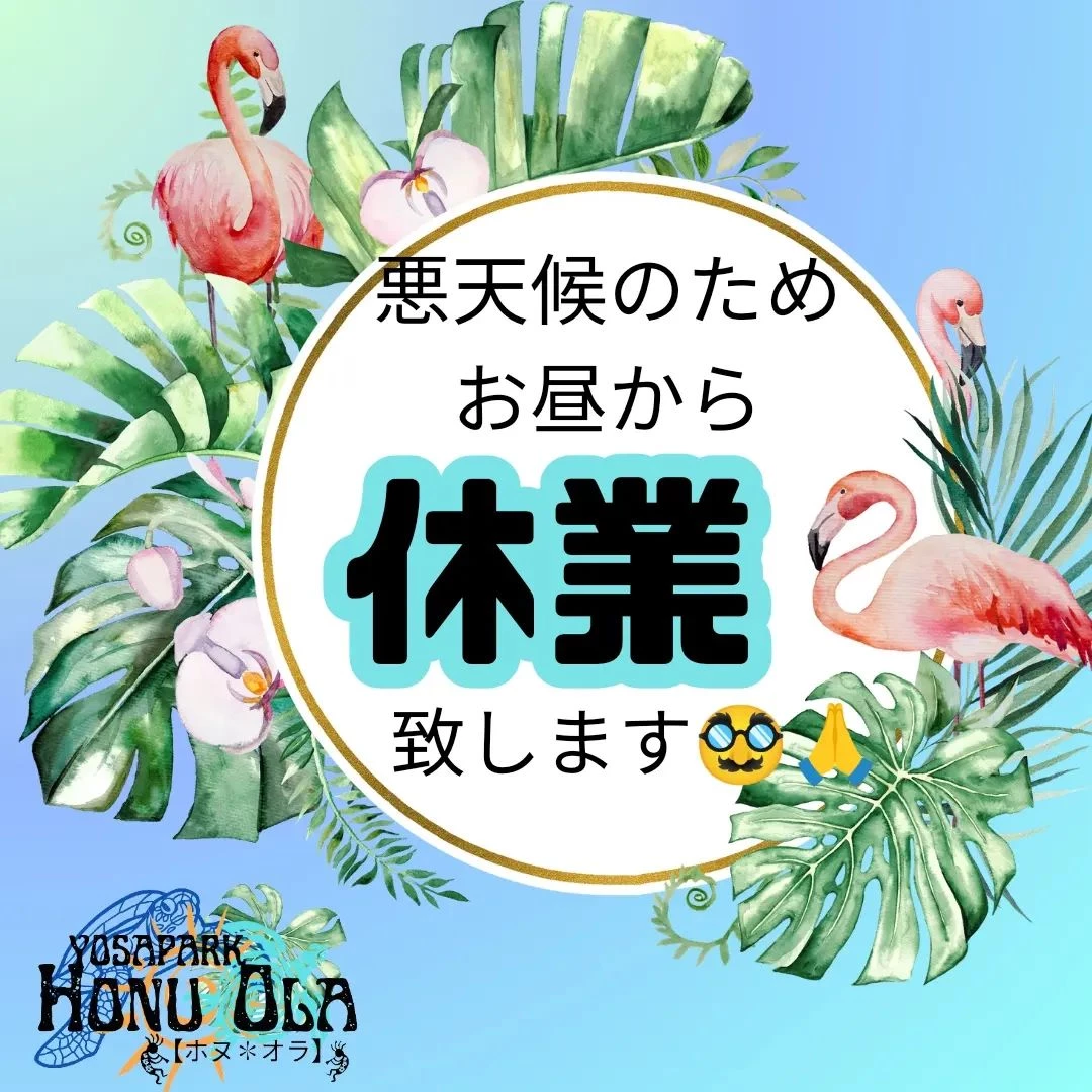 画像540