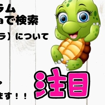 画像787
